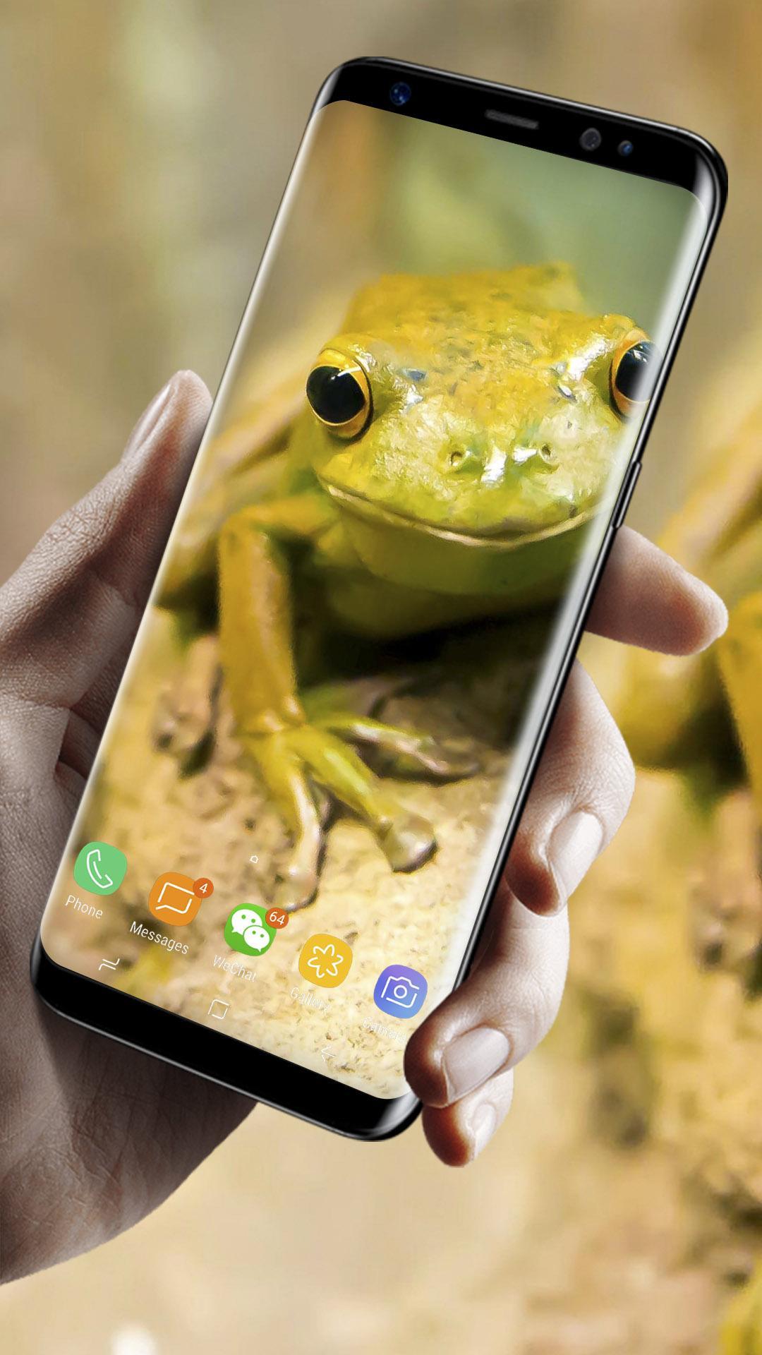 Frosch Live Wallpaper Kostenlos Fur Android Apk Herunterladen