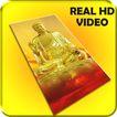Buddha and Dragon Live Wallpap