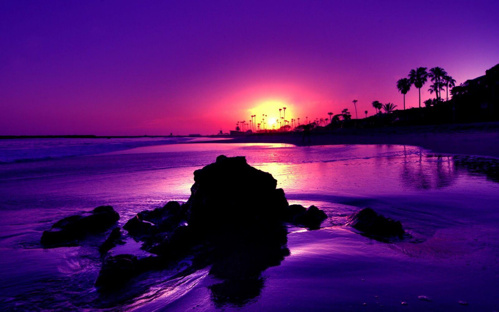 Live Sunset Wallpaper for Android - APK Download