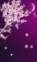 Sakura Flower Live Wallpaper Plakat