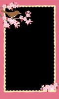 Sakura Flower Photo Frame HD poster