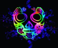 Neon Skull Wallpaper Affiche