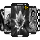 Black and White Wallpaper HD APK