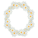 Daisy Flower Wallpaper APK