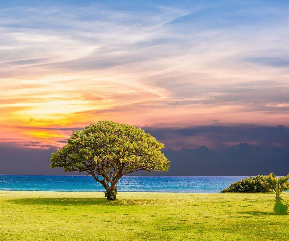 Landscape Wallpaper Hd For Android Apk Download
