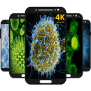 Magic Particles Wallpaper APK