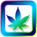 Marijuana Wallpapers and Backgrounds APK