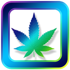 Marijuana Wallpapers and Backgrounds-icoon