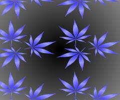 Marijuana Wallpapers and Backgrounds Affiche