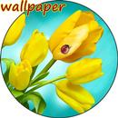 Beautiful flowers wallpaper APK