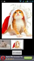 Funny Cats Live Wallpaper capture d'écran 1