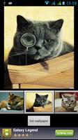 Funny Cats Live Wallpaper capture d'écran 3