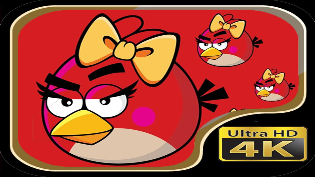 Android 用の Wallpaper Angry Bird Apk をダウンロード