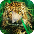 Leopard Animated Wallpaper