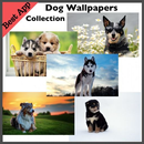 Dog Wallpapers Collection | HD APK
