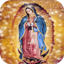 Virgin Of Guadalupe Original Background In Motion APK