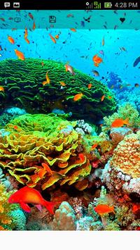 aquatic wallpapers 2018 apk download free personalization app for