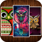 Owl Wallpaper HD biểu tượng