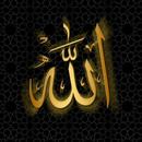 ALLAH WALLPAPERS APK