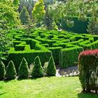 GARDEN WALLPAPERS Zeichen