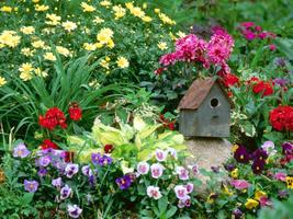 GARDEN WALLPAPERS Plakat