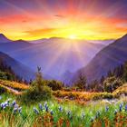 SUNRISE WALLPAPERS أيقونة