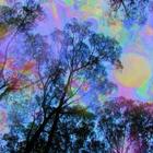 Psychedelic Wallpapers HD أيقونة