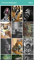 Tiger Wallpapers HD پوسٹر