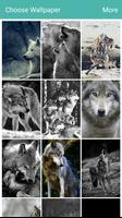 Wolf Wallpapers 포스터