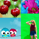 Wallpaper HD icon