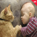 Funny Cat