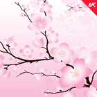 Sakura Wallpaper HD icône