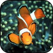 Aquarium Live Wallpaper biểu tượng