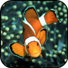 Aquarium Live Wallpaper icon