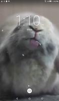 Bunny Licks Screen Wallpaper capture d'écran 2