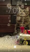 Cats & Bubbles Live Wallpaper اسکرین شاٹ 1