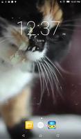 Cat Lick Screen Live Wallpaper الملصق