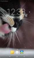 Cat Lick Screen Live Wallpaper capture d'écran 1