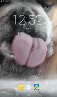 Dog Lick Screen Live Wallpaper screenshot 1