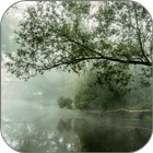 Foggy Stream Live Wallpaper 图标