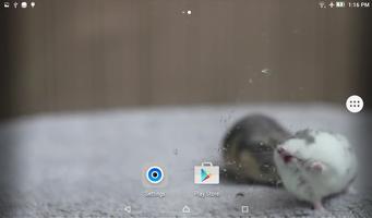 Hamster Licks Screen Wallpaper capture d'écran 2