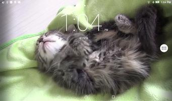 Kitty Live Wallpaper capture d'écran 2