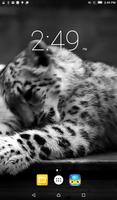 Snow Leopard Live Wallpaper ポスター