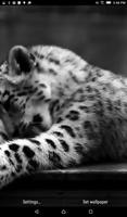 Snow Leopard Live Wallpaper capture d'écran 1