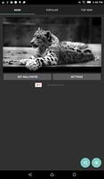 Snow Leopard Live Wallpaper capture d'écran 2
