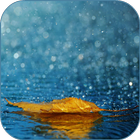 Rain Live Wallpaper HD icône