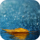 Rain Live Wallpaper HD APK