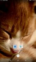 Sleepy Cat Live Wallpaper 截圖 2