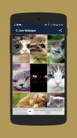 Cats wallpaper স্ক্রিনশট 2