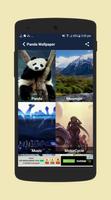 Panda wallpaper screenshot 1
